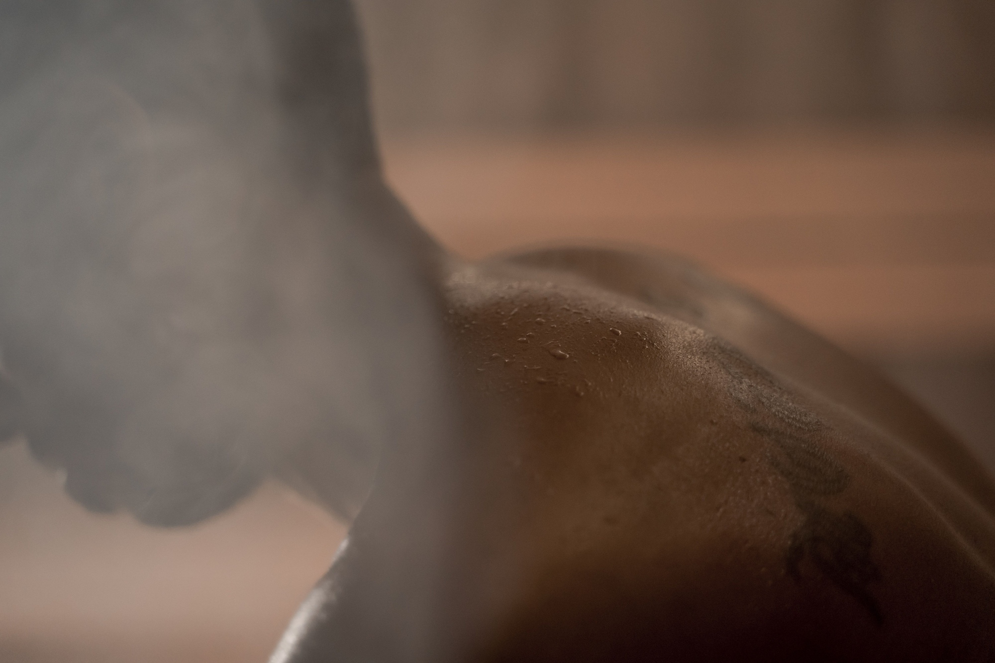 Sauna build detail